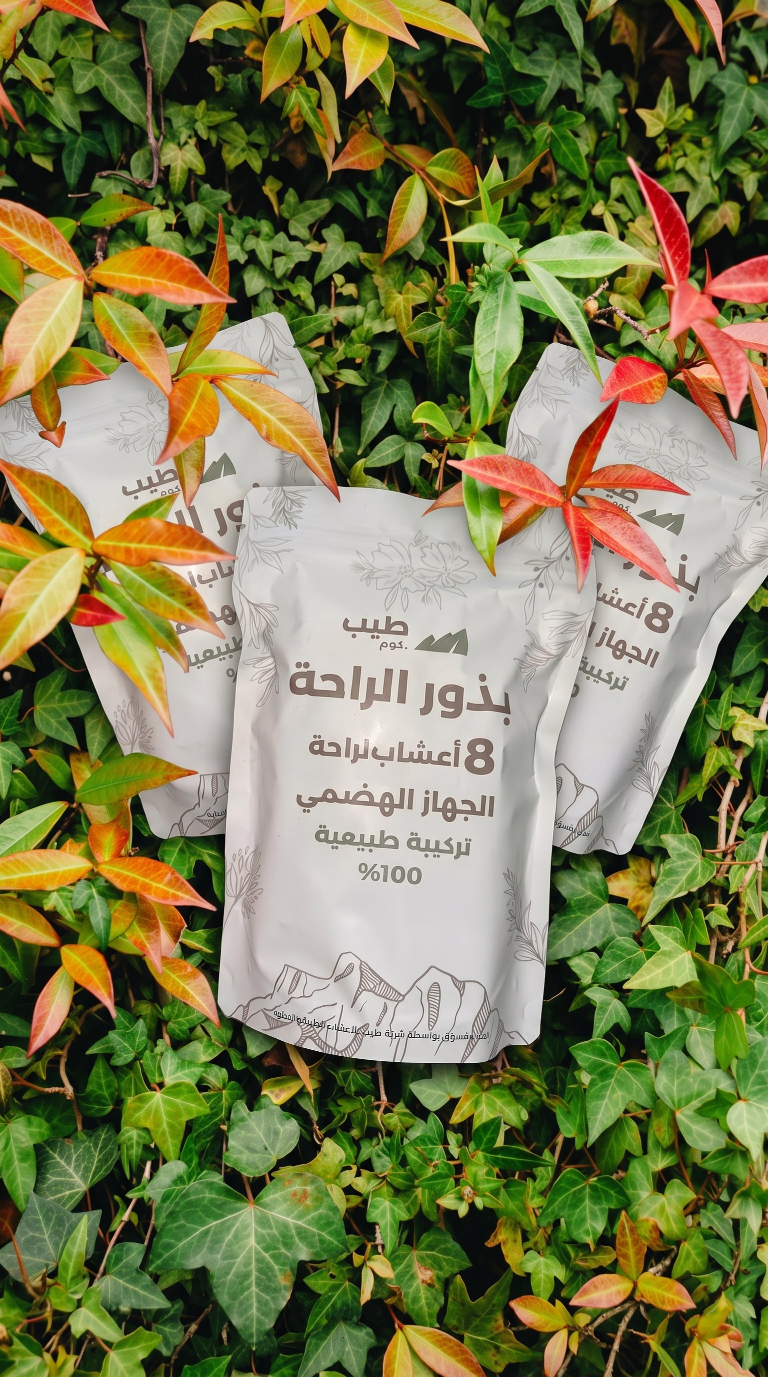 بذور الــــــراحة